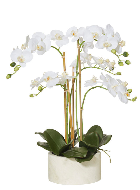 Rogue Artificial Flower Arrangement White Butterfly Orchid Stone Pot 62 cm