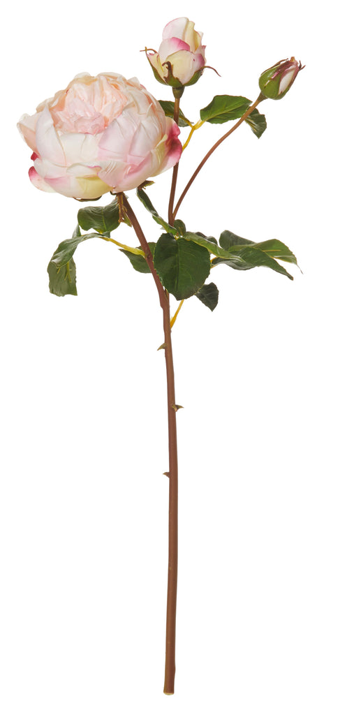 Rogue Fake Artificial Flower English Rose Spray in Pink 56 cm